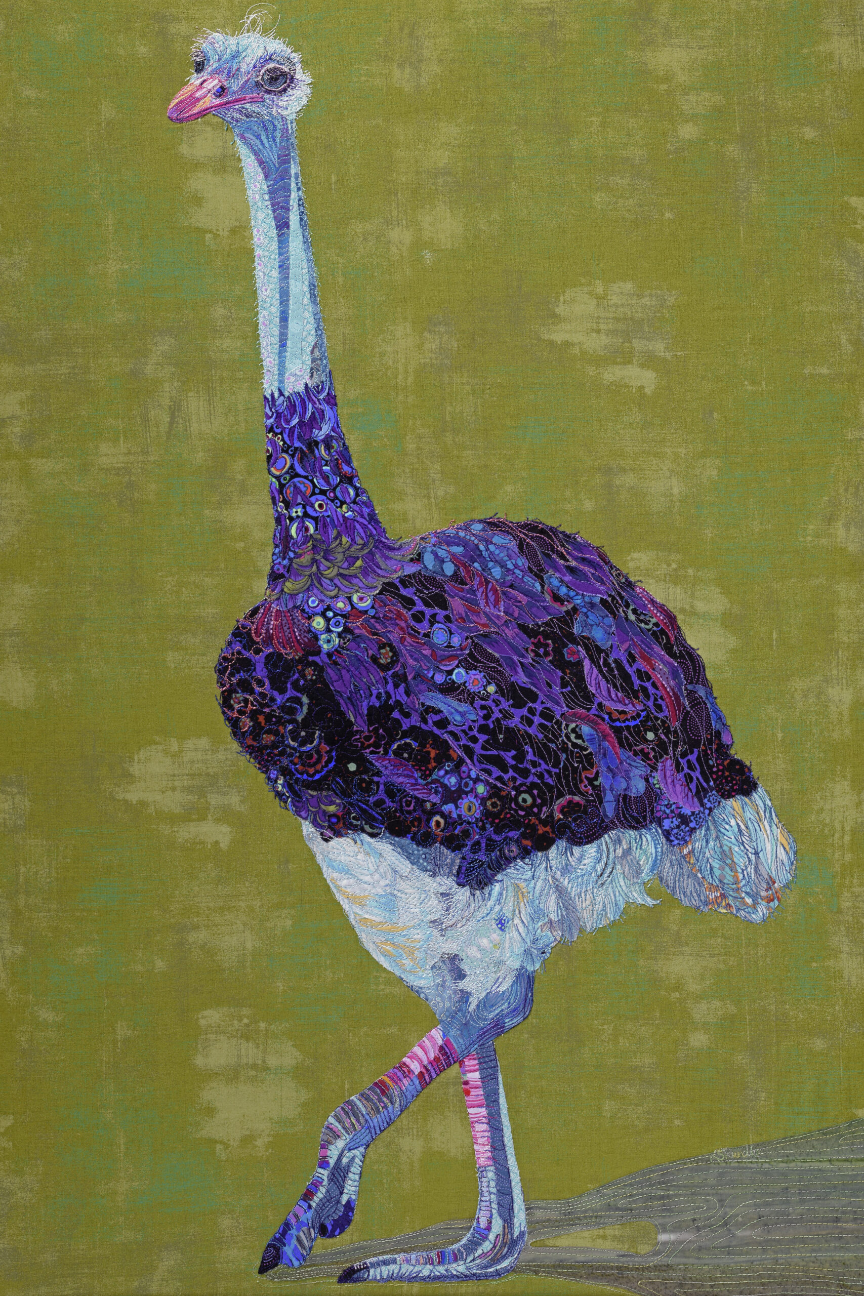 Somali ostrich Katy Rundle Art